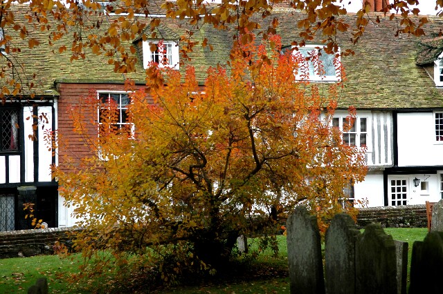 min 2007 11 24 tenterden 061